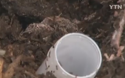 (와이티엔 방송 보도화면 캡쳐)