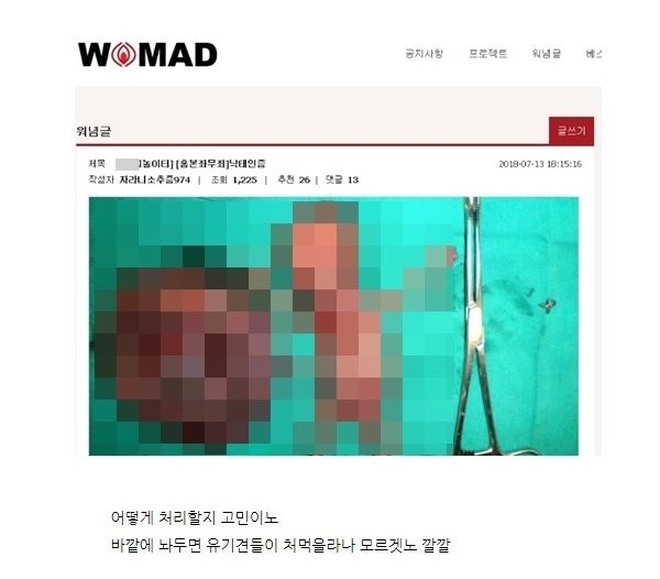 이른 아침 휘몰아친 소용돌이...워마드 태아, 또 대중들의 입방아에