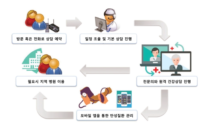 그림=재외국민 대상 원격 건강상담 서비스 제공 과정