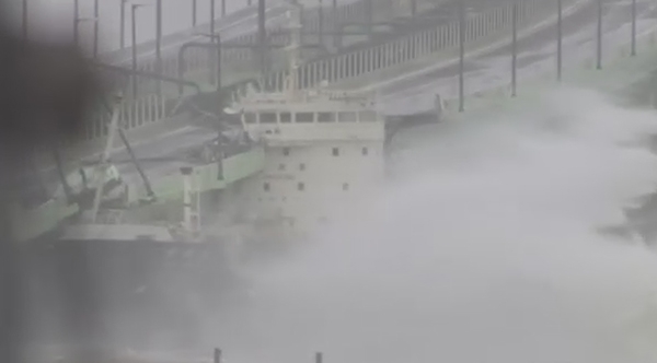 심상치 않은 제비, 바람세기 일본 와카야마서 57.4미터 관측