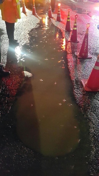 포트홀 발생.(사진제공=부산지방경찰청)