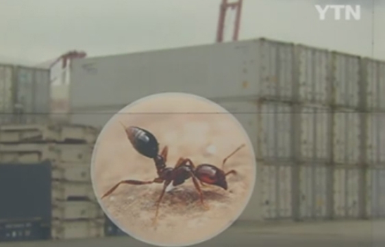 (출처 : 와이티엔 보도 당시 자료화면)