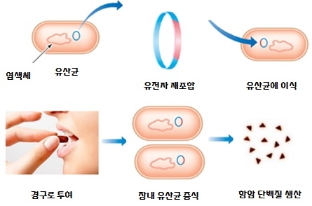유전자치료제모식도. (사진=쎌바이오텍)