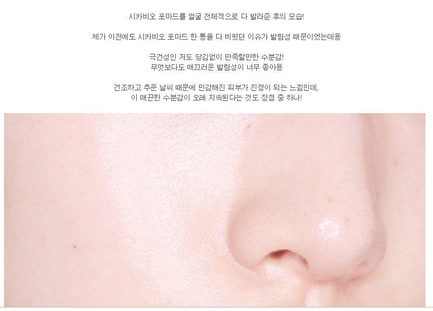 다미베이비 블로그 캡쳐