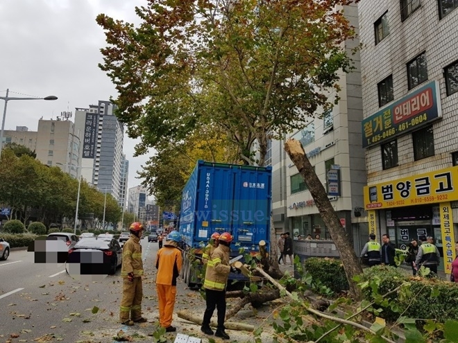 트레일러가 가로수를 파손해 소방이 제거하고 있다.(사진제공=부산지방경찰청)