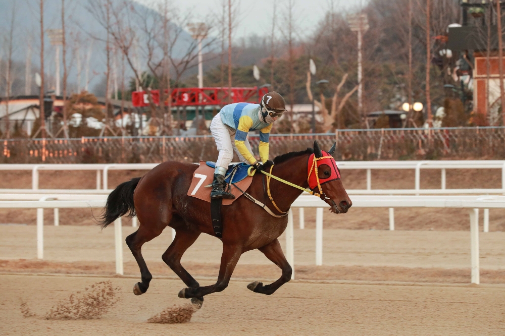 (사진=한국마사회)