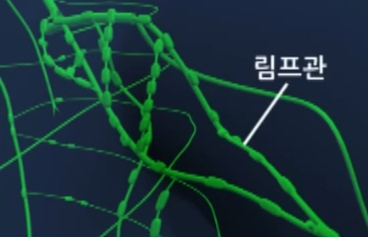 출처 : naver정보화면영상