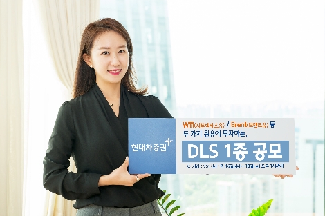 현대차증권이 모집하는 DLS 1종 안내 이미지. 사진=현대차증권