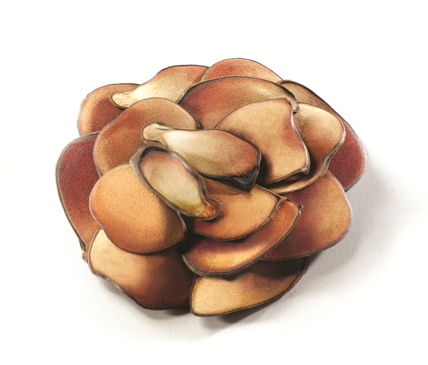 건강식품 열풍… '녹용' 제품도 대중화 빨라져