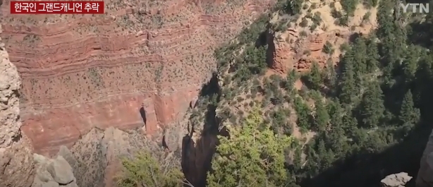 출처 : 와이티엔 보도화면