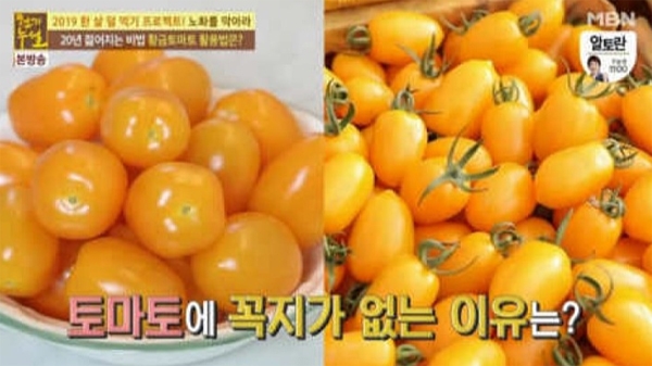 황금토마토가 늦은 저녁 대중들의 관심사다 / 출처 방송 속 한 장면