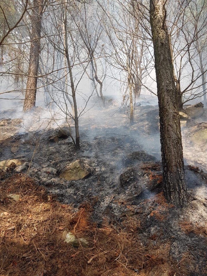 방화한 흔적이 남아 있다.(사진제공=부산경찰청)