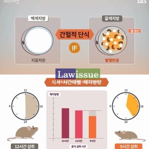 간헐적 단식 방법을 나타낸 것들 / 출처 : 방송캡쳐