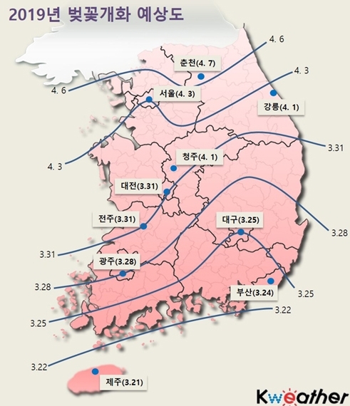 황령산 벚꽃이 봄기운을 알리며 조만간 전국적으로 절정을 보일 것으로 예상된다 / 출처 케이웨더