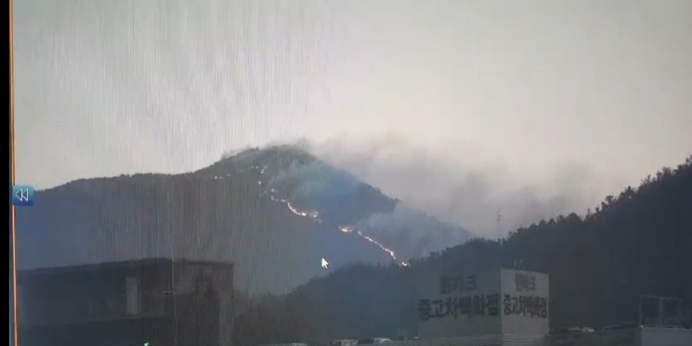 여전히 능선으로 불길이 타오르고 있다.(사진제공=부산경찰청)