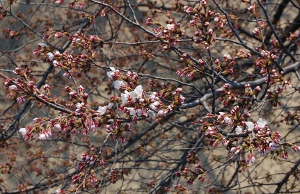 기상청