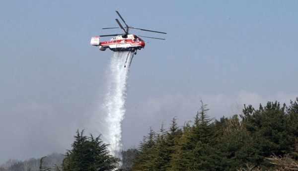 ‘영천’서 산불이 발생한 것으로 전해져 우려의 목소리가 크다 / 출처 NEWSIS 사진은 기사내용과 직접적인 관련없음