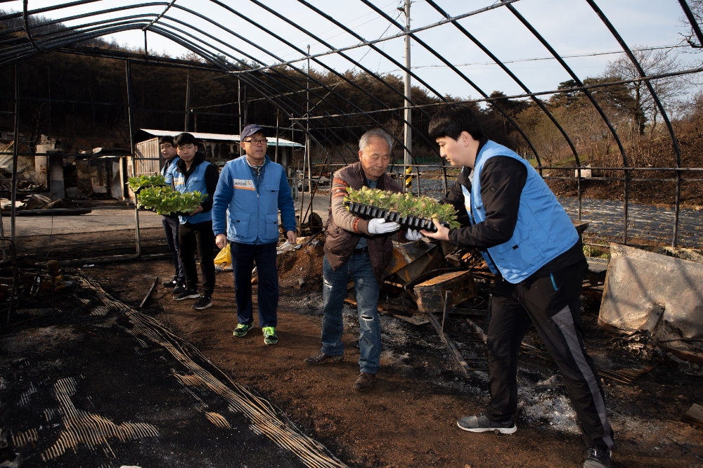 KT&G는 일손 부족으로 고충을 겪는 잎담배 농가를 돕기 위해 매년 봉사활동을 진행하고 있다. 사진은 지난 12일 강원도 강릉시 옥계면의 잎담배 경작 농지에서 KT&G 원료본부 임직원들이 잎담배 이식 봉사활동에 참여하고 있는 모습. (사진=KT&G)