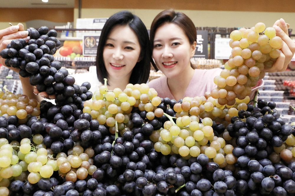 (사진=롯데마트)