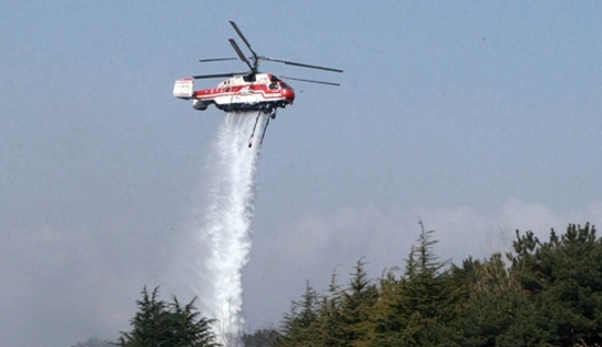 ‘안성’서 산불이 발생한 것으로 전해져 우려의 목소리가 크다 / 출처 NEWSIS 사진은 기사내용과 직접적인 관련없음