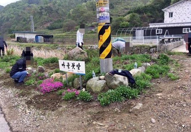 마을가꾸기 사회봉사 활동을 하고 있다.(사진제공=전주준법지원센터)