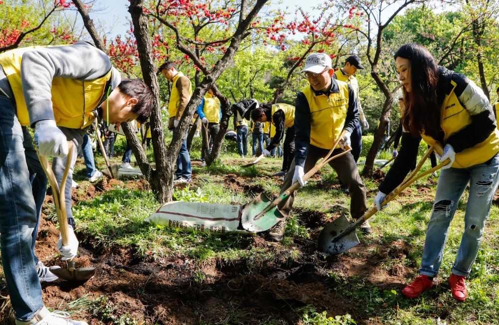임직원과 가족들이 남산 야외식물원 살구나무단지에 거름 주기 활동을 하고 있다.(사진=대림산업)