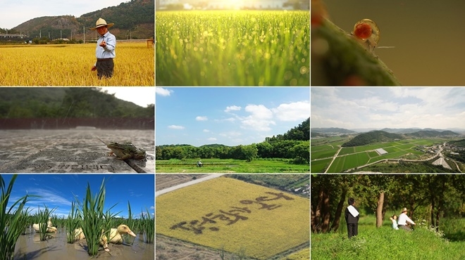 KNN 다큐멘터리 '물의기억' 국회특별 시사회.