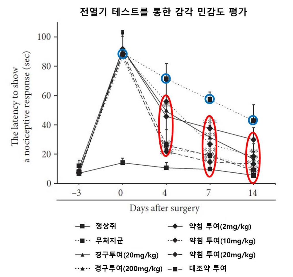 그림에 따르면 척추관협착증을 유도한 쥐에 신바로2를 투여하면 연구일이 거듭될수록 온각자극에 반응하는 시간이 빨라짐을 알 수 있다.