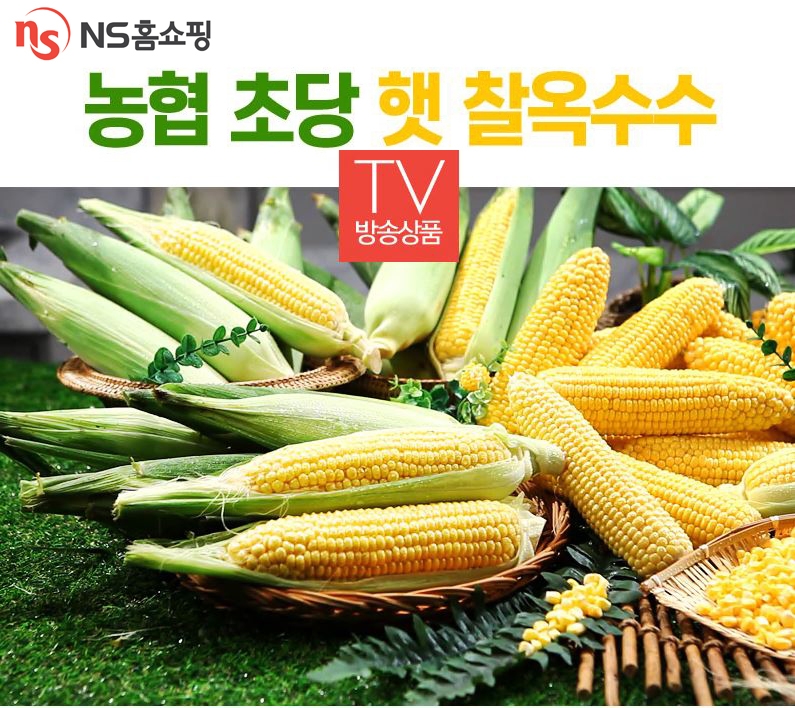 NS홈쇼핑, 충북 옥천산 농협 ‘초당 햇 찰옥수수’ 론칭방송