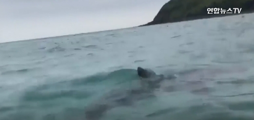 출처 연합뉴스티브이화면