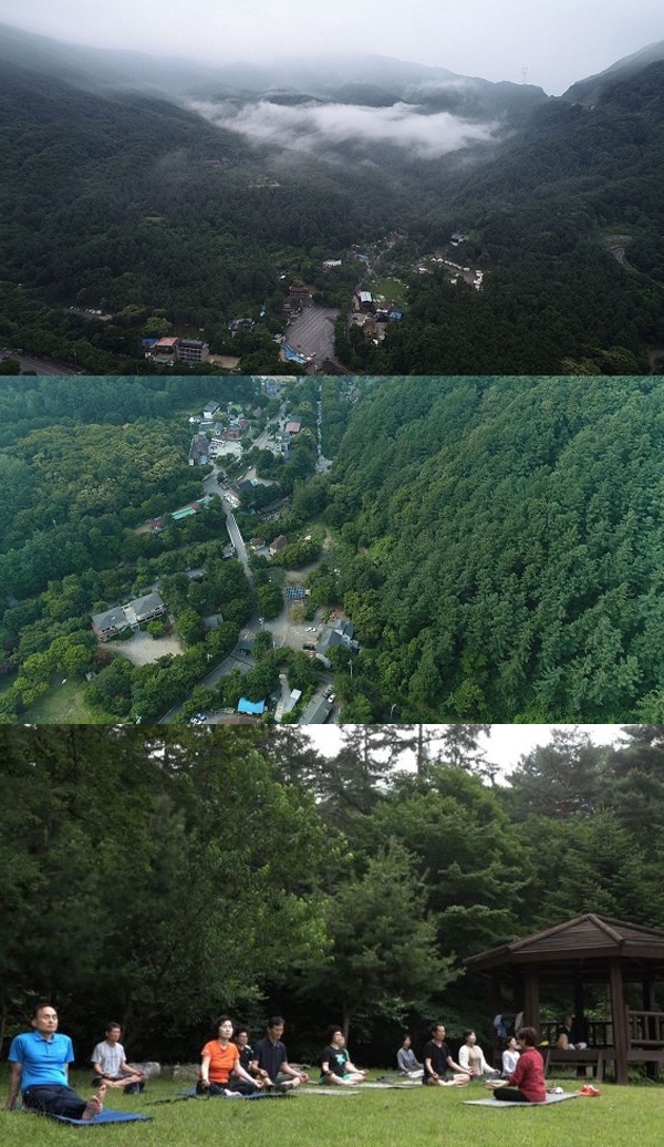 유명산 자연휴양림, 쳐다보는 것만으로도 피로가 풀리는 듯...무더위 속 급호감