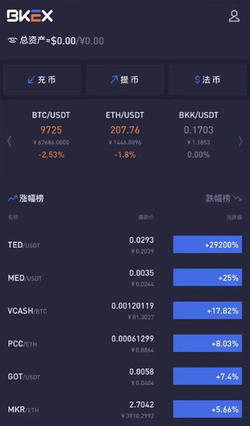 전자지갑&코인 TED, BKEX 높은 청약률 기록... 가격 상승