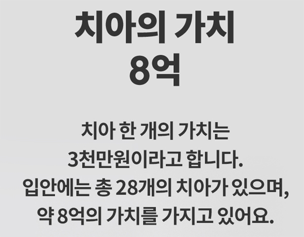 ‘8억칫솔’이라는 제품이 소개되면서 관심이 급증하는 하루다 / 출처 website화면