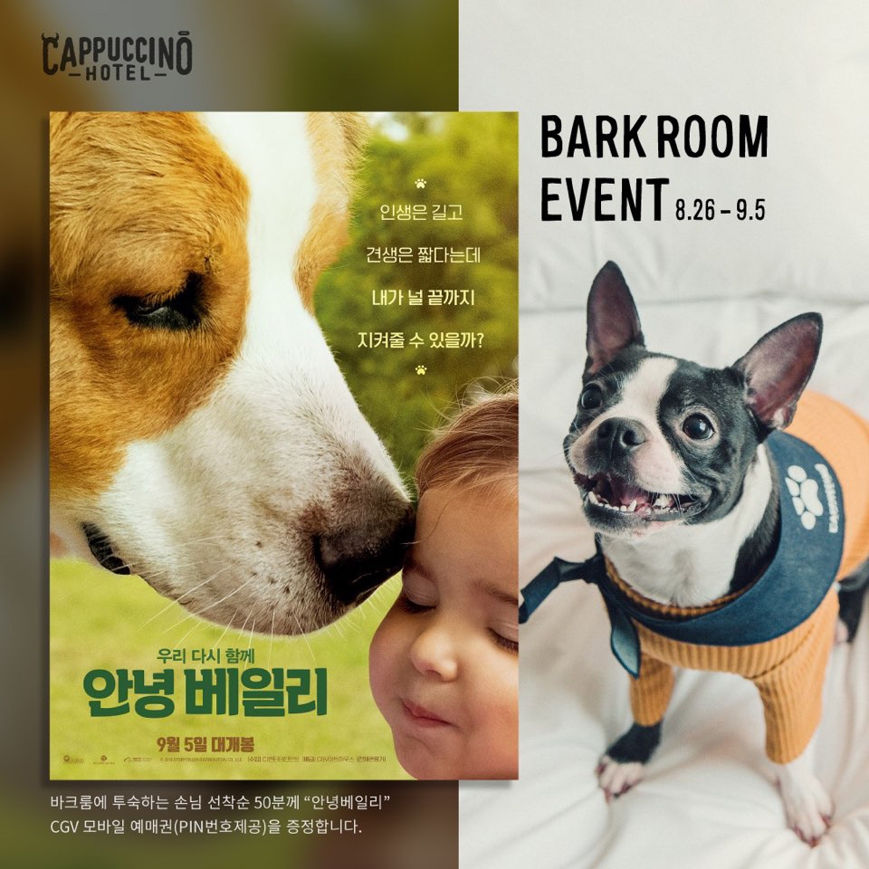 호텔 카푸치노, 9월 휴가족 겨냥 ‘펫캉스·치맥 패키지’ 출시