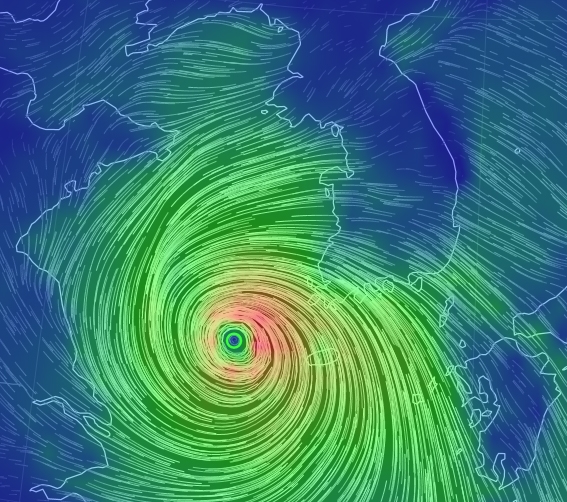 출처 구글어스눌스쿨