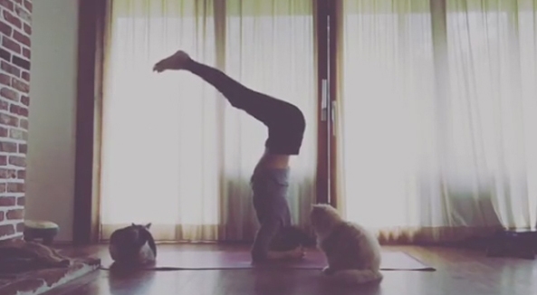 ‘이효리’ 나이에 대한 궁금증은 연일 이어지고 있다 / 출처 에스엔에스