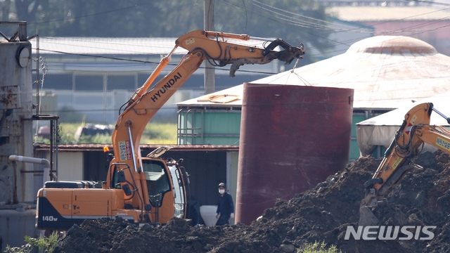 ‘아프리카’ 돼지열병이 국내에 확인되면서 당국이 긴장하고 있다 / 출처 NEWSIS