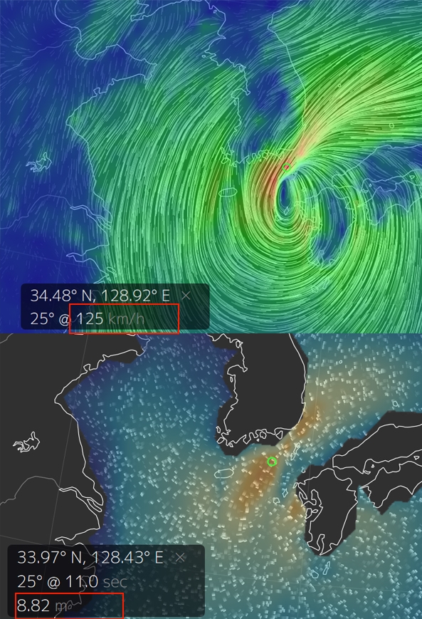 타파의 이동경로를 흔히 온라인을 통해 찾아볼 수 있다 / 출처 구글어스눌스쿨