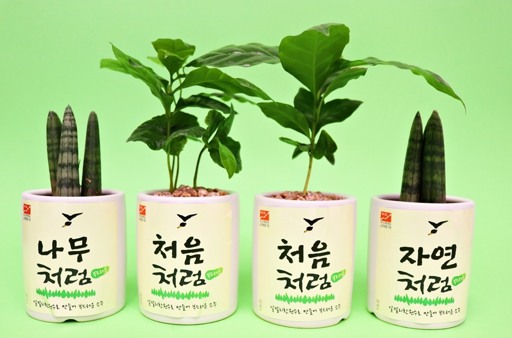 롯데주류 "처음처럼’ 반려나무 입양하세요"
