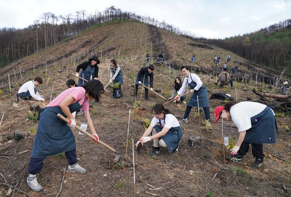 야놀자, 강원도 산불피해 지역에 ‘야놀자 숲’ 조성