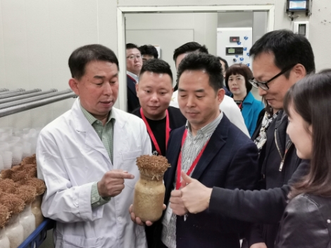 쓰촨성 훠궈협회 관계자 갈색 팽이버섯 현장 방문. 사진=aT
