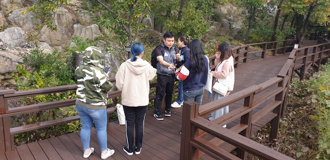 보호관찰청소년들이 숲체험 프로그램에 참여하고 있다.(사진제공=대구준법지원센터)