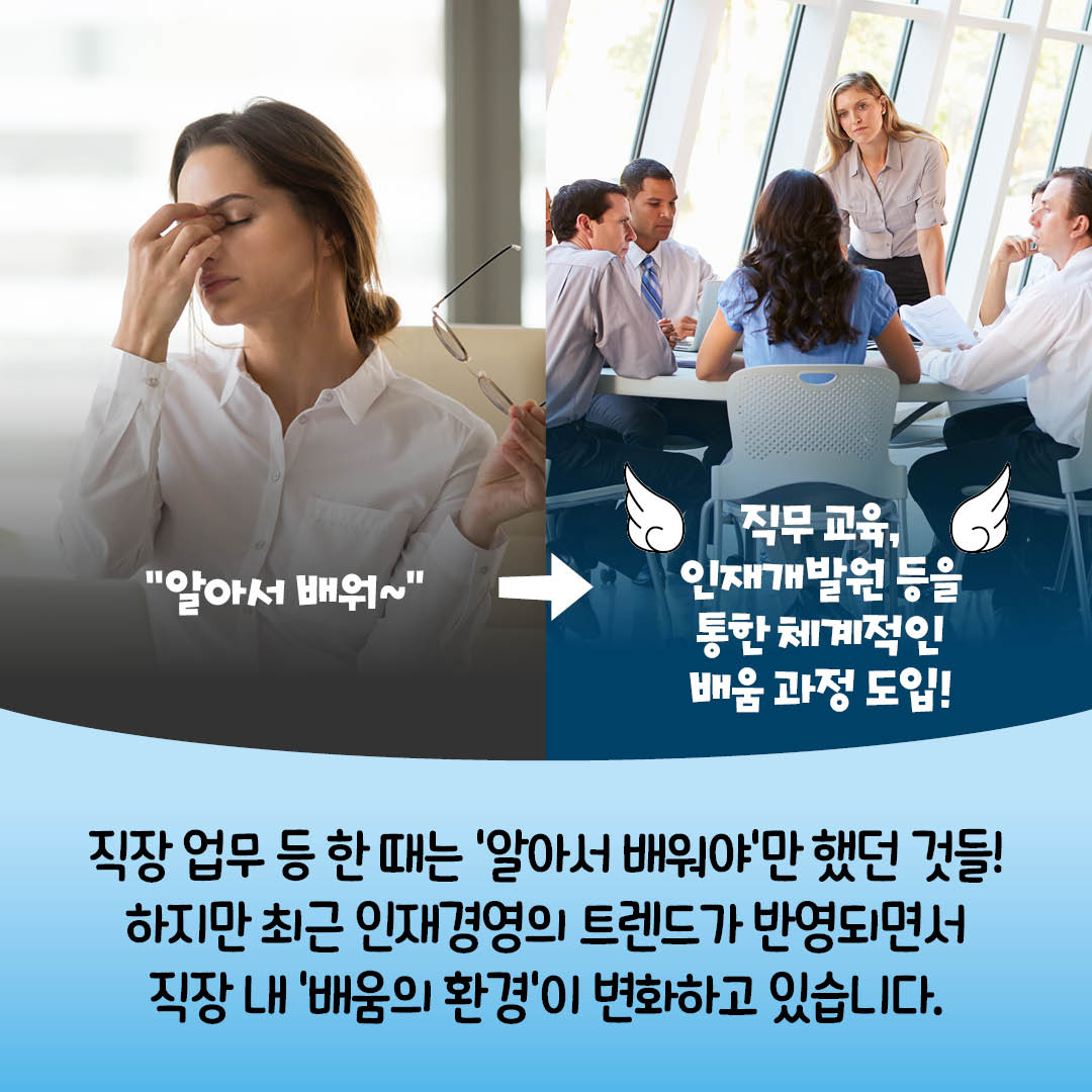 KT&G, 인재육성 카드뉴스 공개