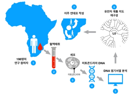 기초과학연구원(IBS) 기후물리연구단 악셀 팀머만 단장 연구팀은 호주, 남아공 연구진과 함께 현생인류의 정확한 발상지와 이주 원인을 세계 최초로 밝혀냈다. 사진=IBS