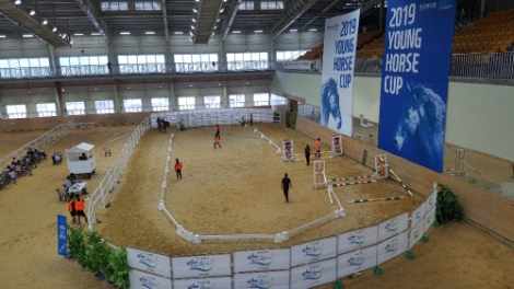 한국마사회가 오는 19일 개최하는 제4회 ‘스포츠말 품평회에’역대 최다 두수인 41두가 출전한다고 밝혔다. 사진=마사회