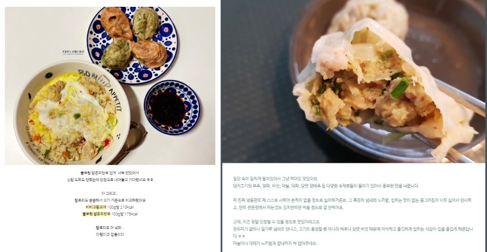 블로그 화면 캡쳐