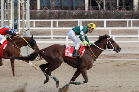 2018년 그랑프리 시행 모습. 사진=마사회