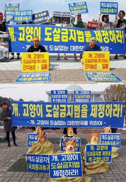 12월 4일 오후 국회정문에서 개도살 금지법 국회통과를 촉구하는 기자회견과 퍼포먼스를 벌이고 있다.(사진제공=개도살 금지연대)
