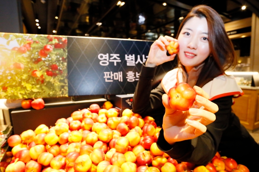갤러리아百 “별(星)사과 맛보세요!”
