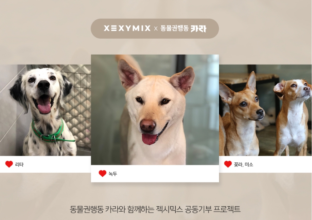 젝시믹스, 유기견 유기묘 돕는 ‘동물권행동 카라’에 매출의 1% 기부 선행 펼치다
